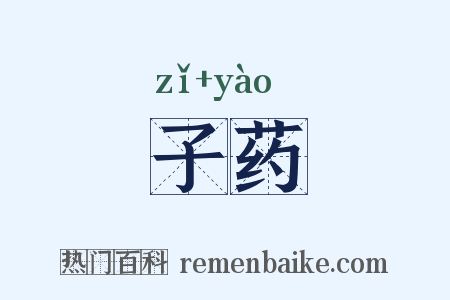 子药是什么意思的图片